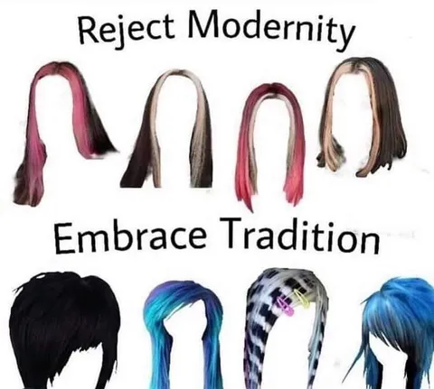 Reject Modernity Embrace Tradition