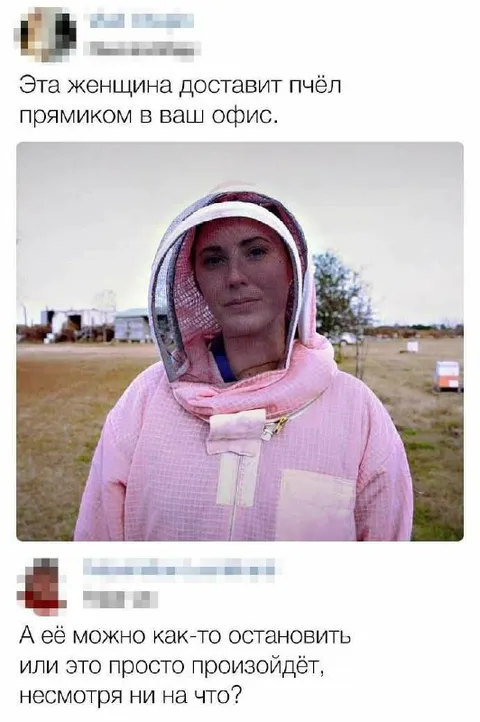 Пчёлы прямо в офис