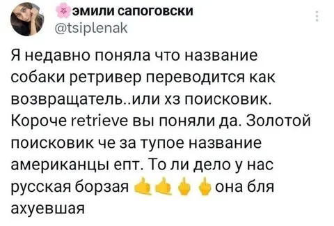 Золотой поисковик — тупое название