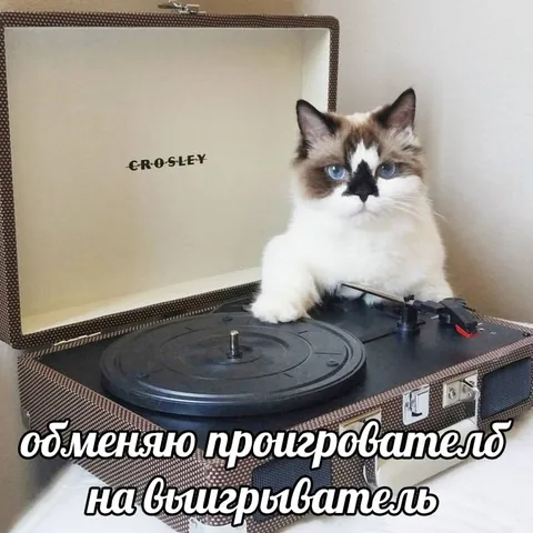 Обменяю проигрыватель на сыгрыватель