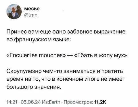 Французское выражение про мух