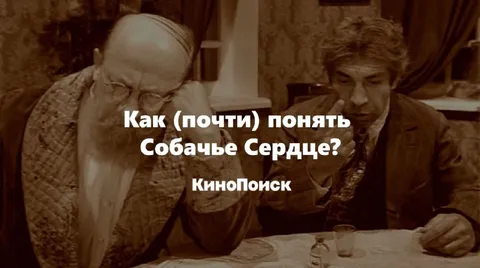 Как понять Собачье Сердце