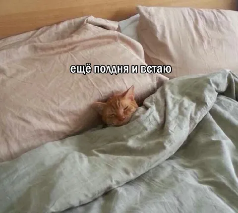 Ещё полдня и встану