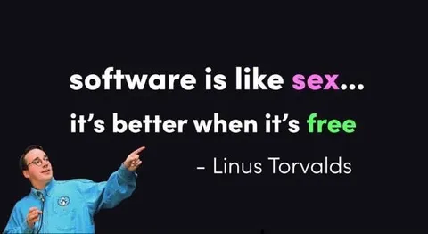 Software Is Like Sex