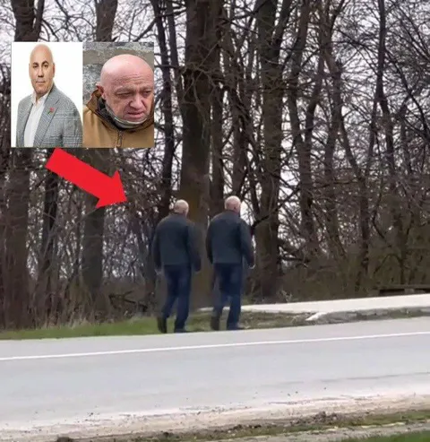 Два лысых мужчины в лесу