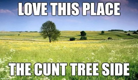 Love This Place Cunt Tree Side