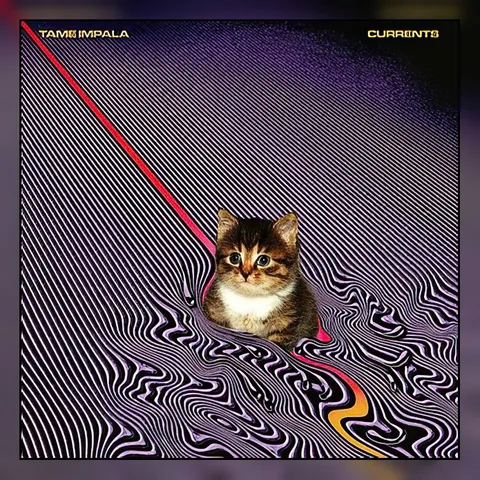 Kitten in a Psychedelic Current