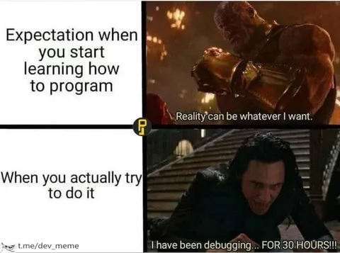 Programming Expectations vs Reality