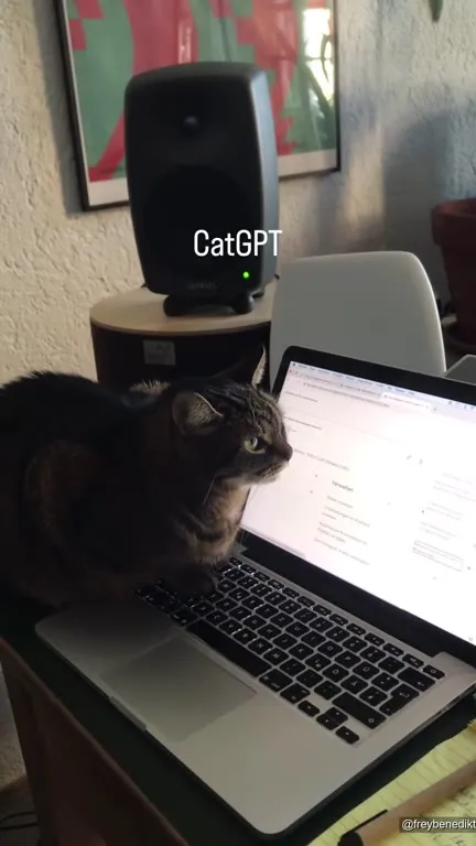 CatGPT Takes Over the Laptop