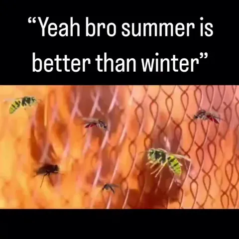 Summer Is Better Than Winter