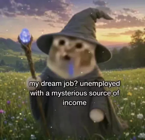 Unemployed Wizard With Mystery Income