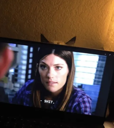 Shit Happens on Screen