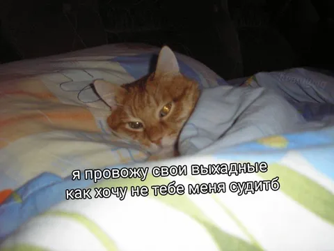 Как хочу, так и провожу выходные