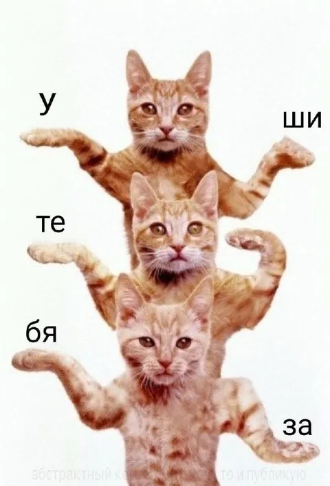 Уши тебя за