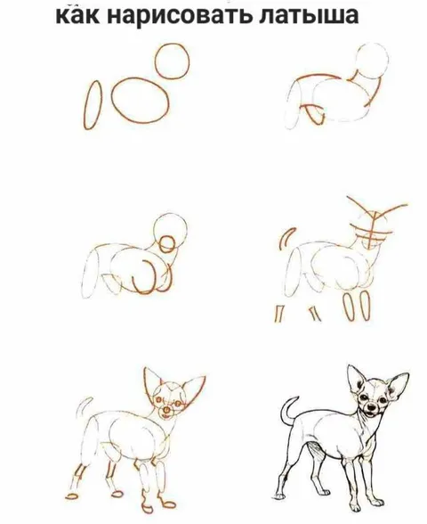 Как нарисовать латыша