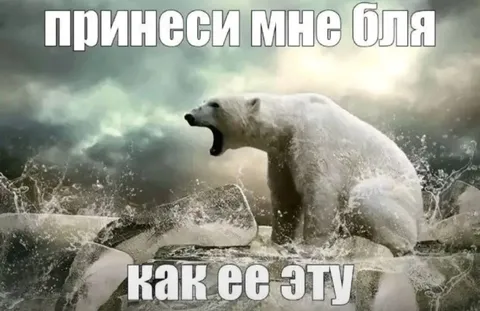 Принеси мне эту бля