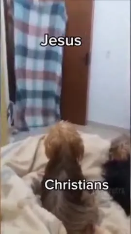 Jesus Says He’ll Be Back Soon