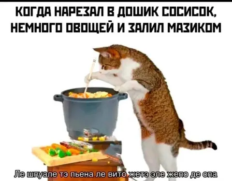 Кот готовит дошик с сосисками