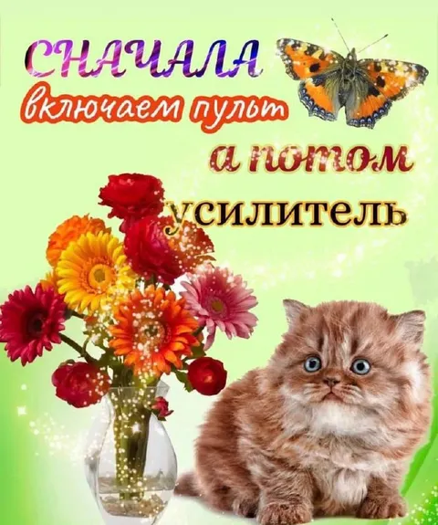 Сначала включаем пульт