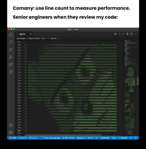 Senior Engineers Review My Code