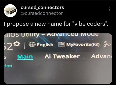Vibe coders renamed Ai Tweakers