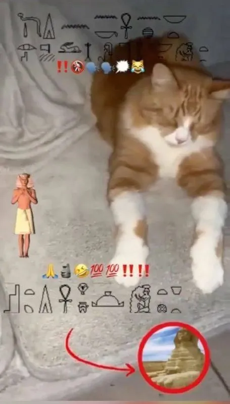 Кот с египетскими иероглифами