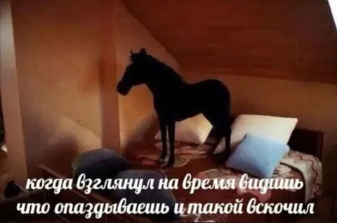 Когда увидел, что опаздываешь