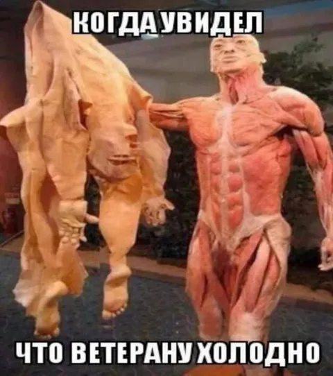 Когда увидел, что ветерану холодно