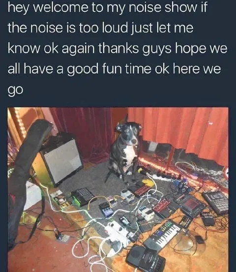 Dog Noise Show