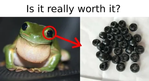 Is It Really Worth It?