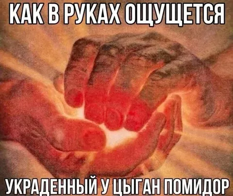 Украденный у цыган помидор