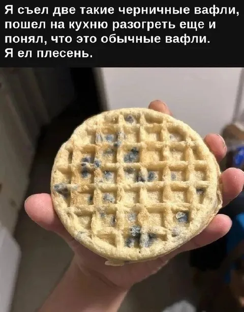 Я ел плесень вместо вафель