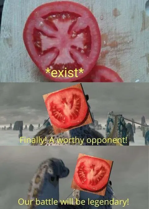 Tomato Worthy Opponent