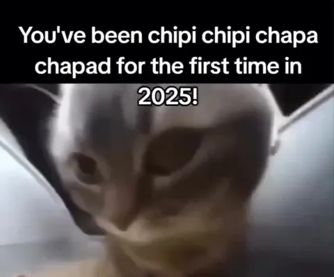 First Chipi Chipi Chapa Chapa