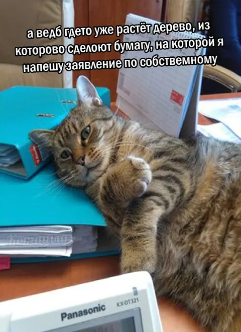 Заявление по собственному
