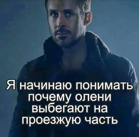 Олени убегают на проезжую часть