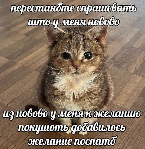 У меня появилось желание поспать