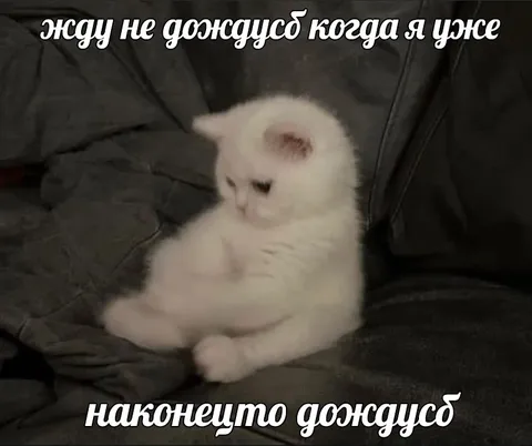 Наконец-то дождусь
