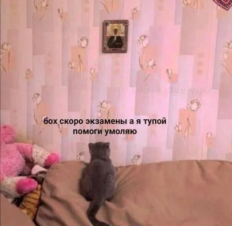 Скоро экзамены, помоги