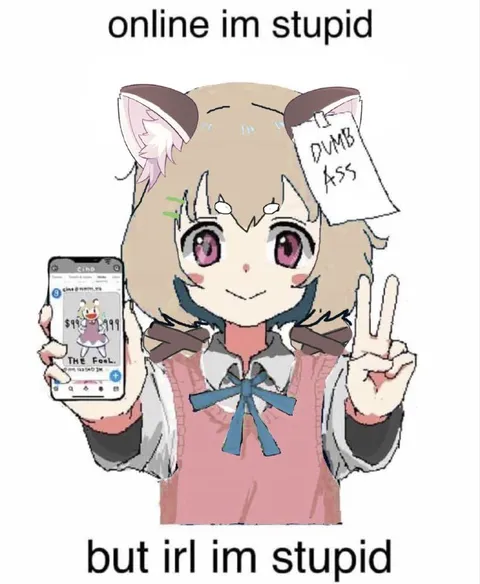 Online and IRL Stupid