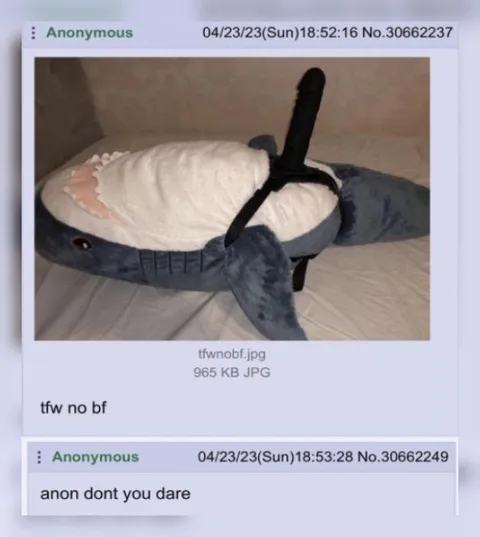 Shark Plush Has No Boyfriend