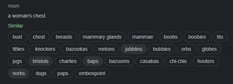 A Woman's Chest Synonyms