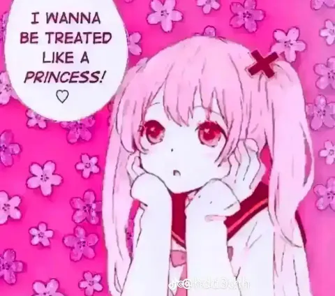Treat Me Like a Princess