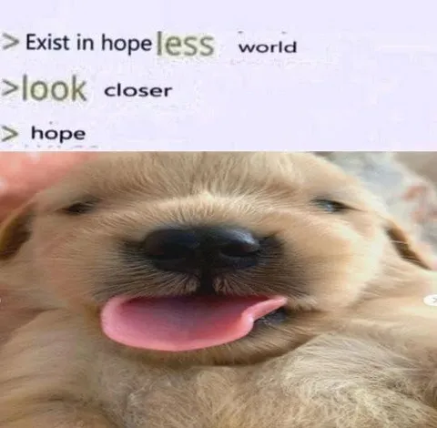 Exist in a Hopeless World