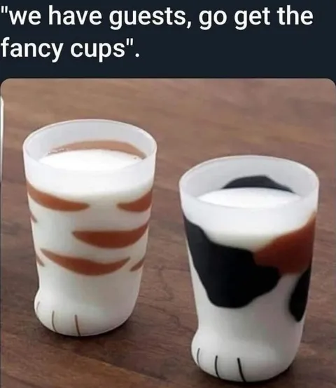 Fancy Cups for Guests
