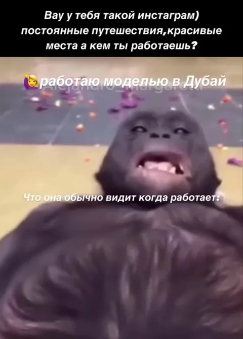 Модель в Дубае на работе