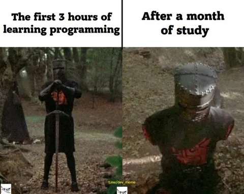 Programming Study After a Month