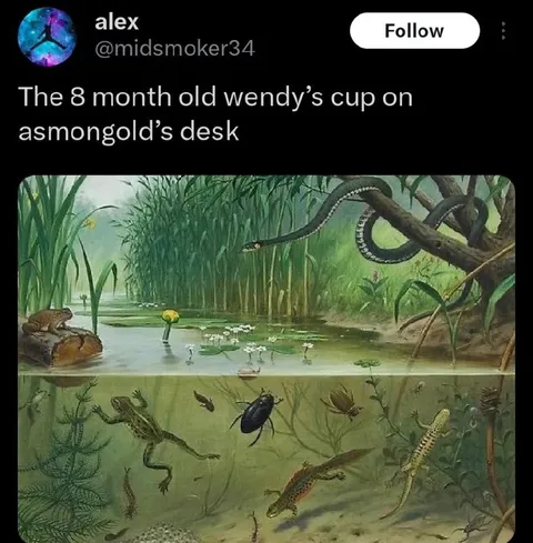 Eight-Month-Old Wendy’s Cup