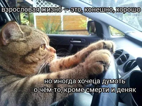 Взрословая жизнь и мысли о смерти
