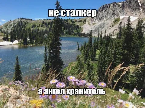 Не сталкер, а ангел хранитель